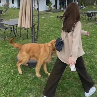追捕渣滓洞刽子手
